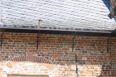 gierzwaluw